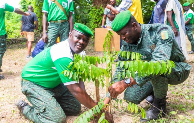 A en croire le chef de cantonnement des Eaux et forêts, le lieutenant Soro Ouadjo qui a planté des essences sur une parcelle composée de palmiers à huile, de bananiers et d’une ferme avicole, l’agroforesterie offre de nombreux avantages. (DR)