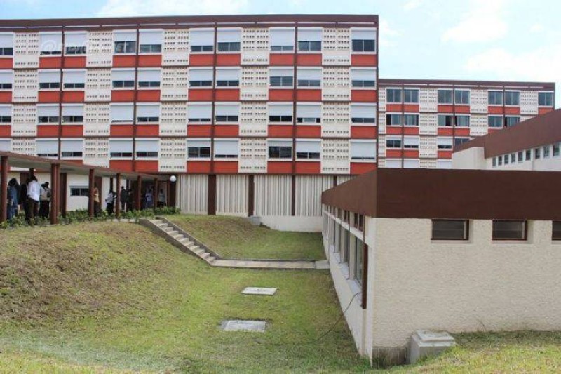 cite-rouge04