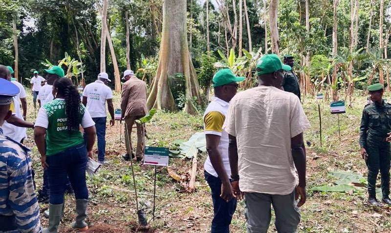 Des séances de planting d'arbres ont ponctué les journées du planteur Palmci 2024. (Ph: Dr)