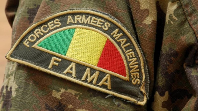 Image d'illustration] Détail de l'insigne d'un membre de l'Armée malienne (Fama). AFP - AGNES COUDURIER