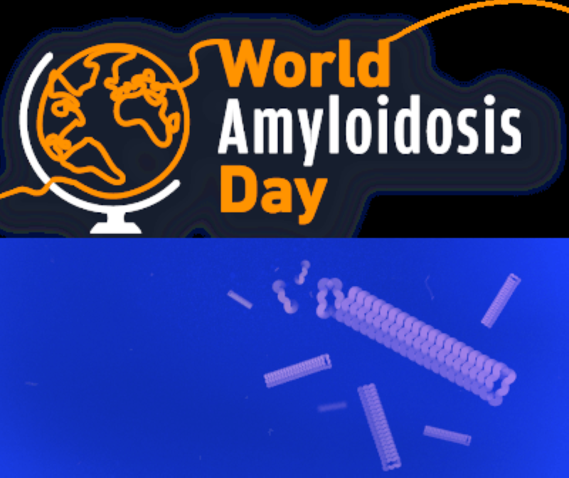 amylose-jm