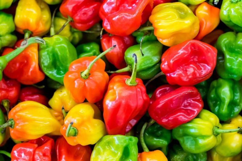Du piments.(Ph:DR)