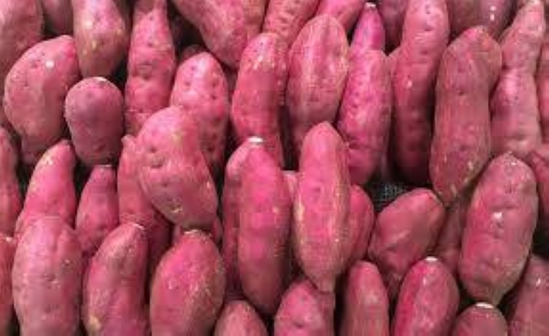 La Patate douce. (Ph:DR)