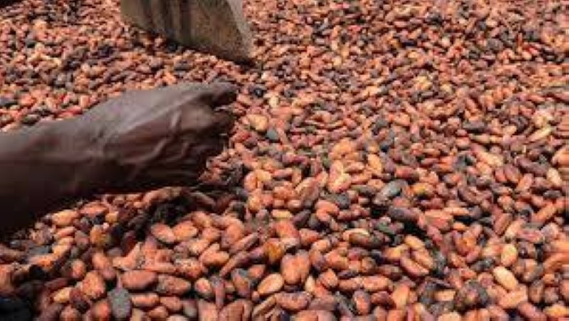 La Côte d’Ivoire veut maximiser ses exportations vers les États-Unis. (Ph: Dr)