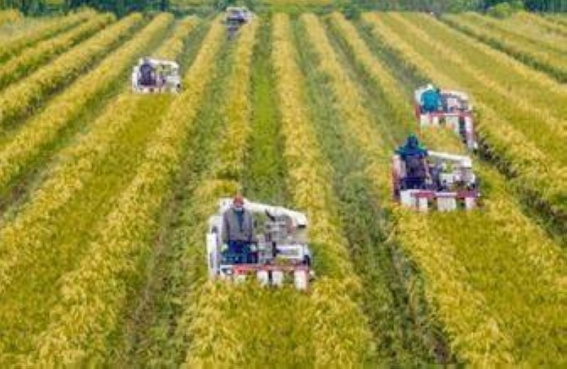Sécurité alimentaire