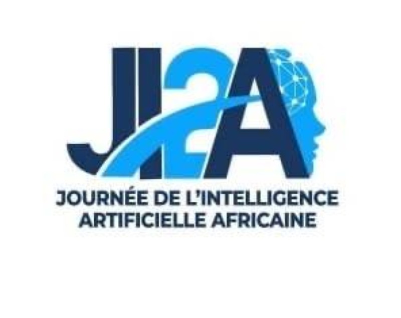 L'intellignce intelligence africaine (DR)