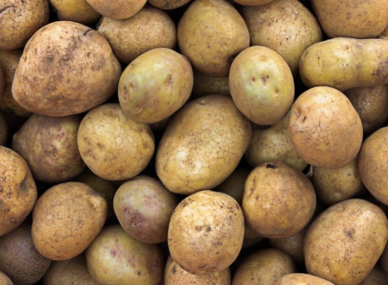 Les pommes de terre. (Ph:DR)