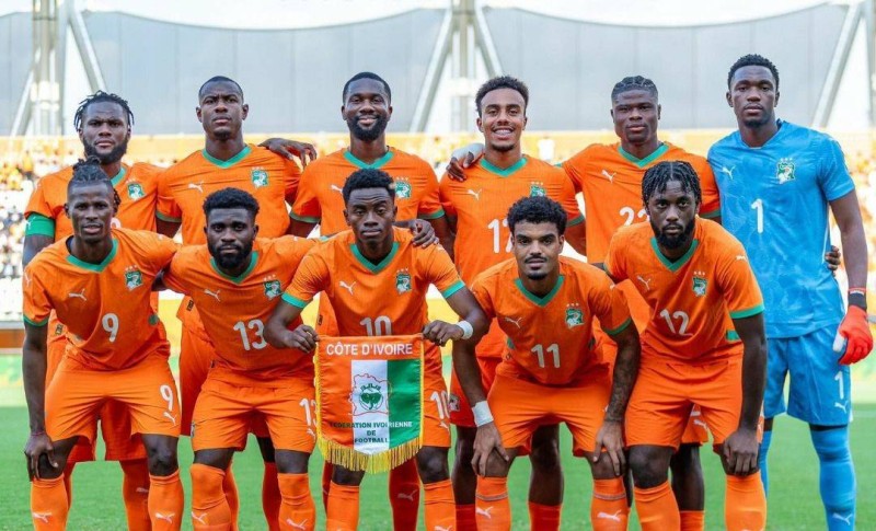 Les Eléphants de Côte d'Ivoire