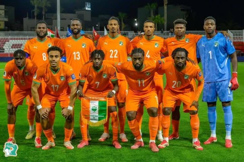 Les Éléphants footballeurs. (Ph: Dr)
