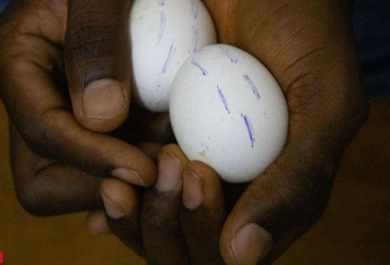 Des œufs africains. (Ph: Dr)
