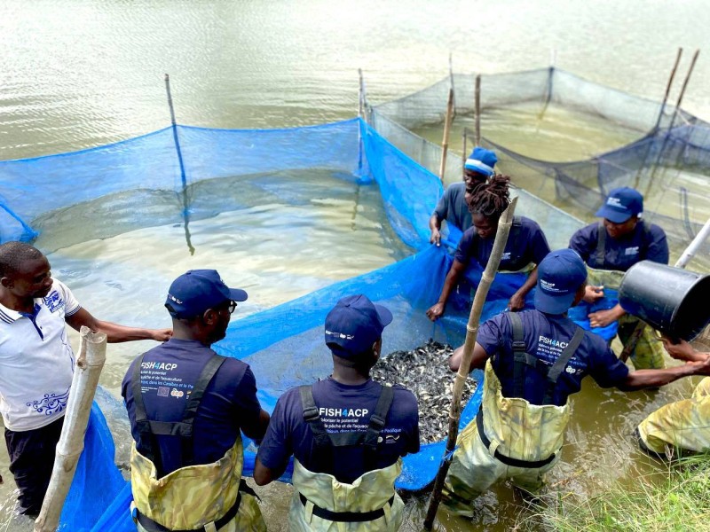 L'aquaculture, une activité qui nourrit son homme. (Ph: Dr)