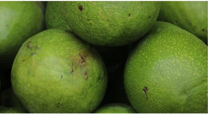 Des avocats.(Ph:DR)
