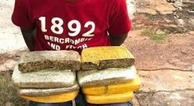Des blocs de drogue. (DR)