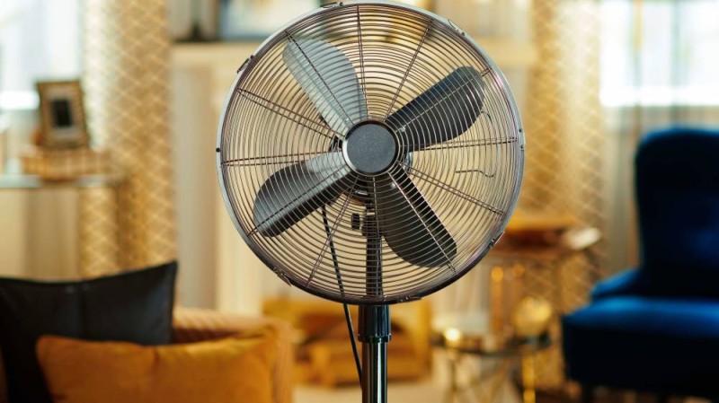 Le voleur de ventilateur a accusé le changement climatique. (Ph: Dr)