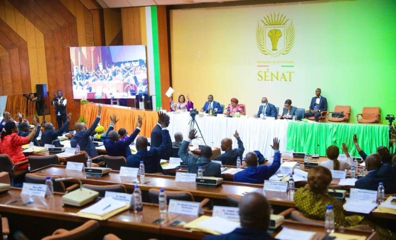 Malgré l’absence des sénateurs Pdci-Rda, la Vice-présidente Sarra Sacko a pu faire adopter tous les projets de loi