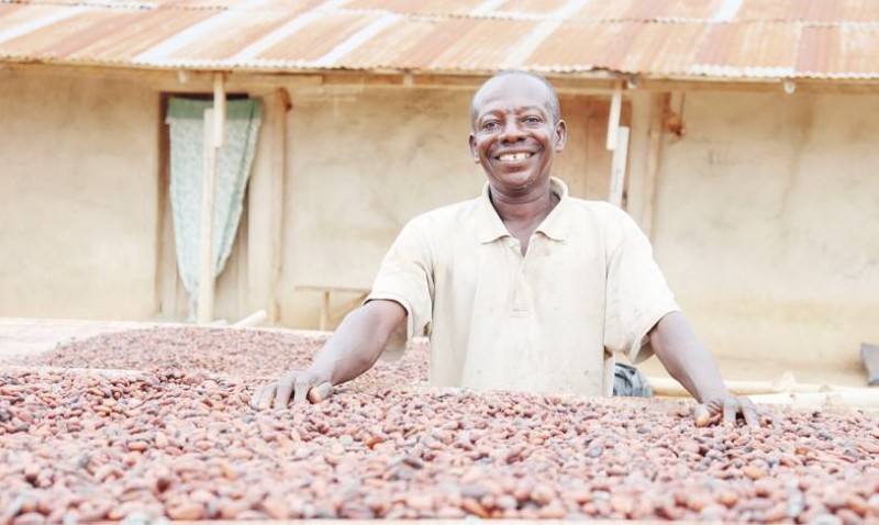 Les familles productrices de cacao sont régulièrement sensibilisées par ICI et ses partenaires, contre le travail des enfants et le travail forcé des enfants et des adultes. (Ph: Dr)