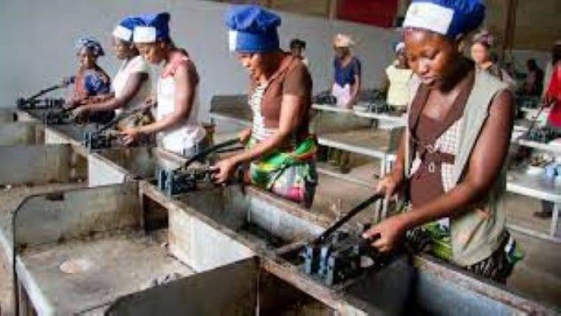 Une petite unité industrielle. (Ph:DR)