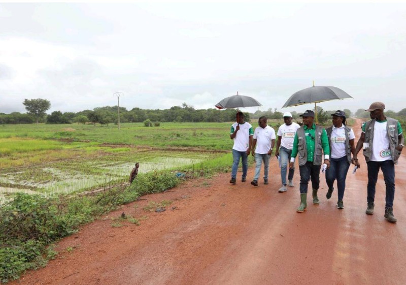 Ces travaux de grande envergure s'effectuent dans le cadre du projet Résilience des systèmes cotonniers du Nord de la Côte d'Ivoire. (Ph: Dr)