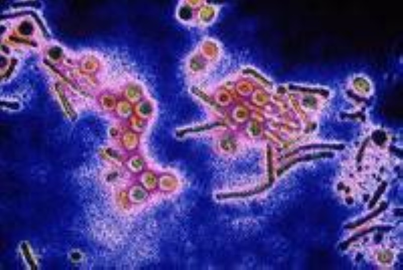 L'hepatite. (Ph:DR)