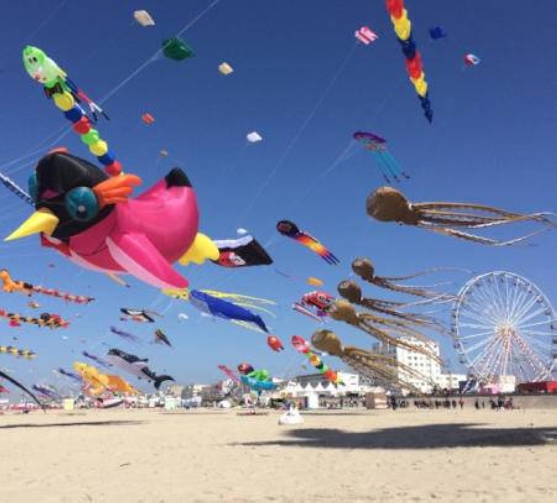 Des cerfs-volants. (Ph:DR)