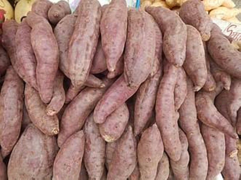 PATATE