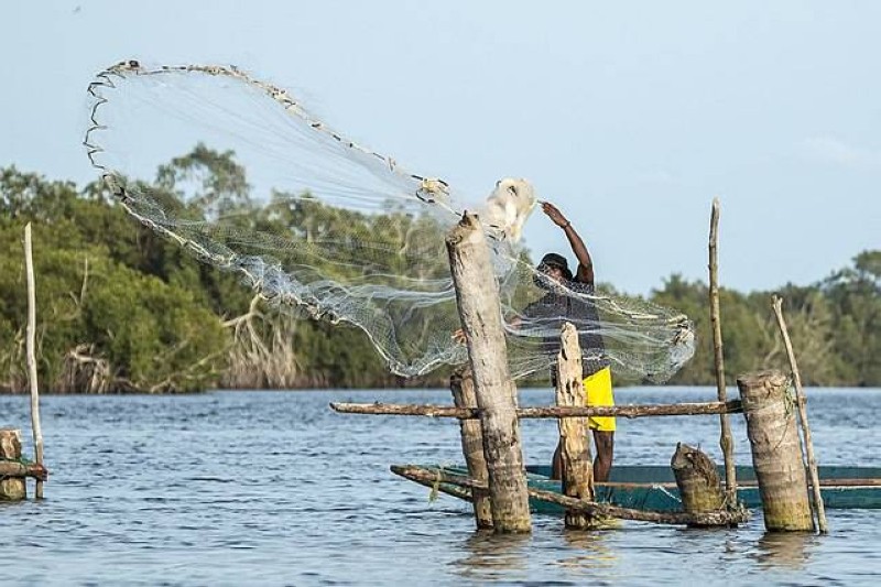 La pêche a repris depuis le 1er septembre 2025. (Ph: Dr)