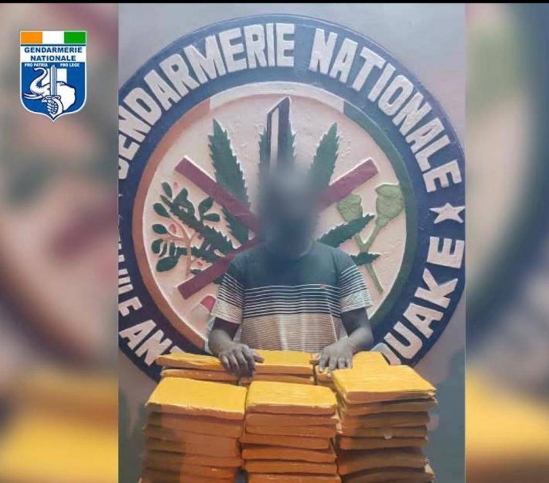 Opération réussie pour la Cellule anti-drogue de Bouaké. (Ph: Dr)