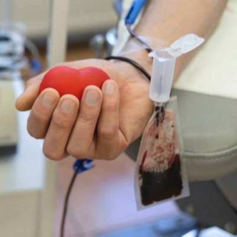 La moelle osseuse, riche en cellules souches, est répartie dans les os du corps, elle renouvelle régulièrement les cellules du sang (globules rouges, globules blancs, plaquettes sanguines). Son rôle est donc extrêmement important. (Ph:DR)