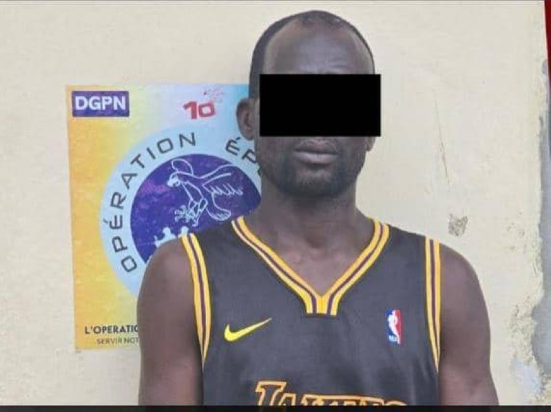Le suspect interpellé. (Dr)