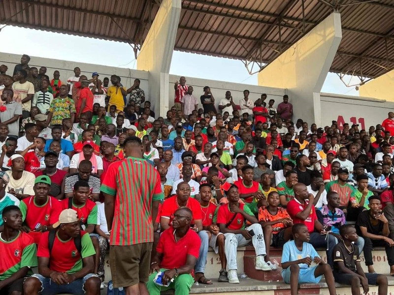 Les nombreux supporters des Aiglons dans les tribunes, lors d'un match de Ligue 2.