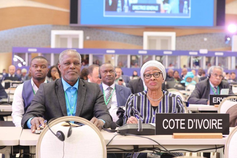 La Côte d'Ivoire élue. (DR)