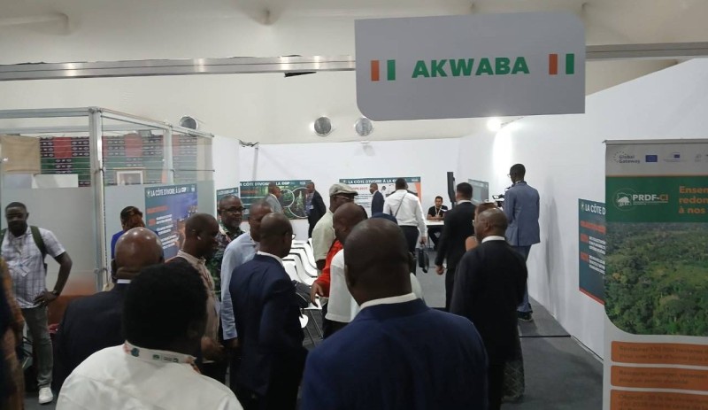 Le ministre de l'Environnement, Jacques Assahoré Konan, s'est imprégné de l'ambiance au pavillon de la Côte d'Ivoire. (DR)