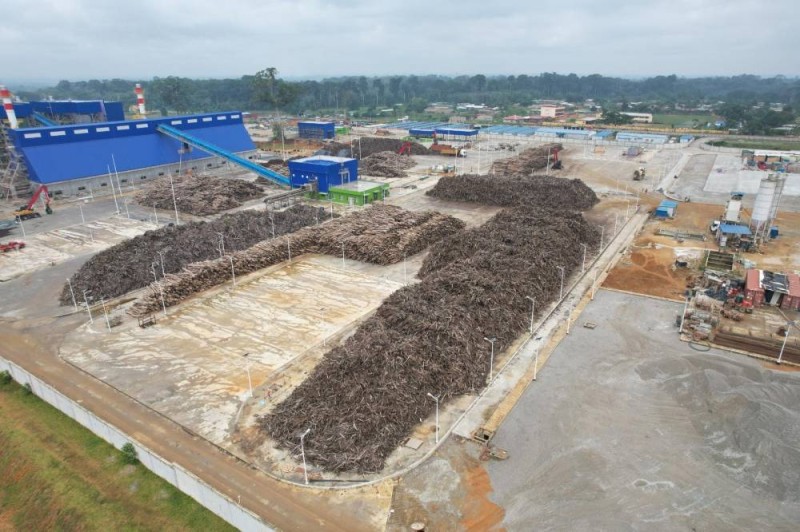 Quand les pétioles de palmier deviennent une électricité en Côte d'Ivoire (Dr)