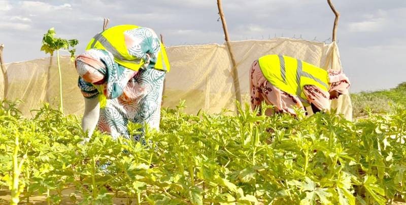 Des appuis pour des activités agricoles