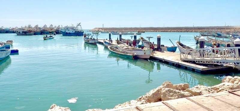 Le port de Tanit, un outil économique majeur menacé par l'ensablement