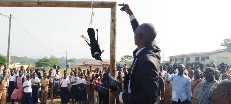 Découverte d'un corbeau vivant attaché et accroché à un poteau au lycée Nanan Adépra de Bettié lundi 24 novembre 2025. (Ph: AIP)