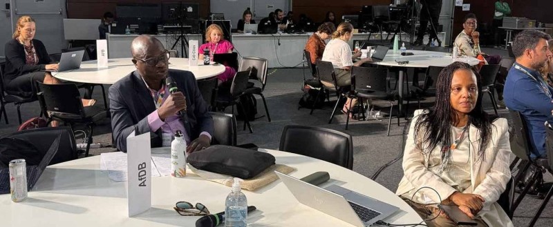 Al Hamndou Dorsouma, chef de division Climat et Croissance verte au sein du Groupe de la Banque africaine de développement et Davinah Milenge Uwella, coordonnatrice principale des programmes changement climatique et croissance verte au sein du Groupe de la Banque africaine de développement ont représenté l’institution à la session.(Ph:BAD)