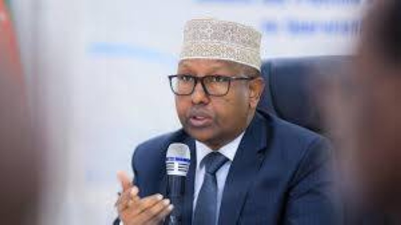 le ministre des Affaires étrangères et de la Coopération internationale de la Somalie est
Abdisalam Abdi Ali
