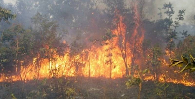 Une vue d'un feu de brousse. (photo d'illustration) 