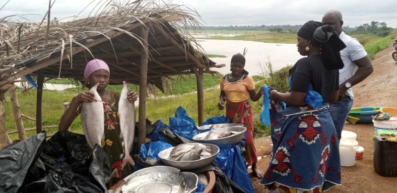 Des vendeuses de poisson sur les rives du fleuve Sassandra.