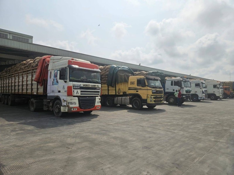 Des dizaines de camions chargés de cacao attendent d'être déchargés à Transcao Négoce. (Ph: Dr)