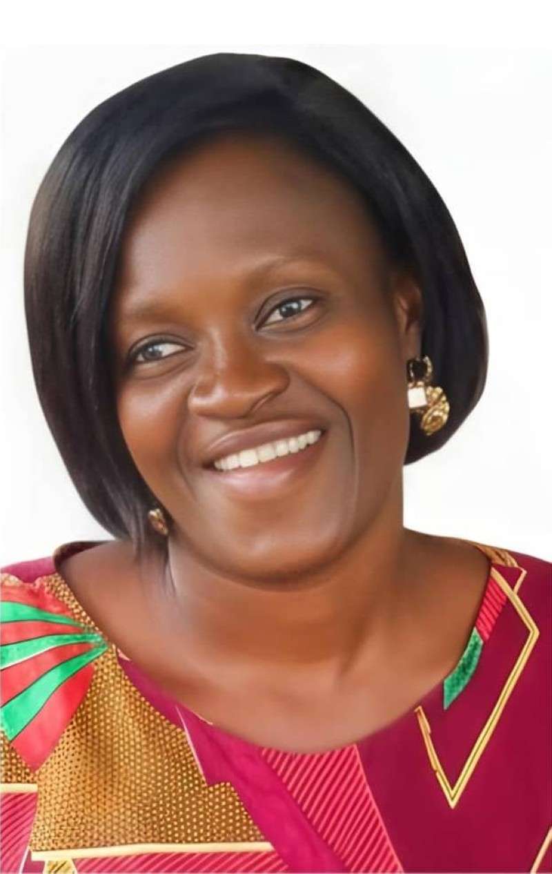 DJENI DIANE DOMINIQUE BAILLET
