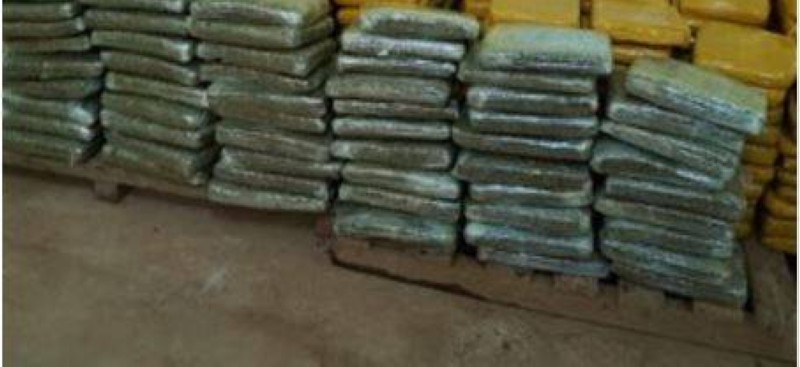 Des plaquettes de cannabis. (Ph:DR)