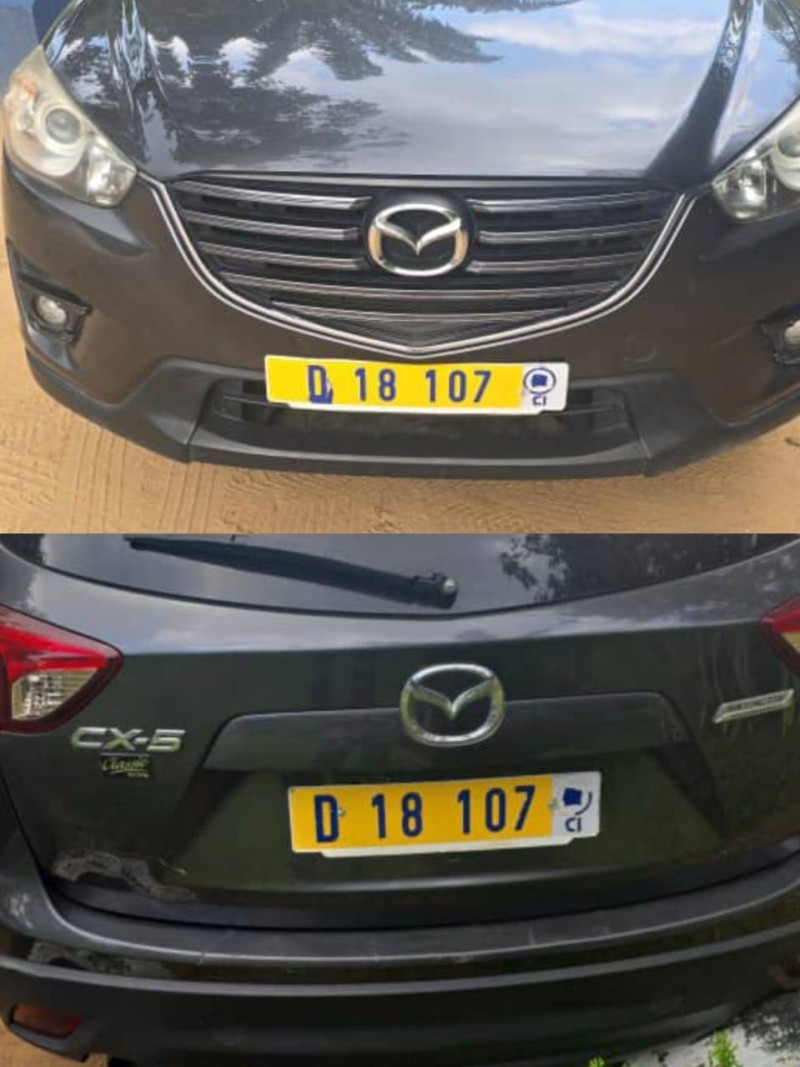 Une fausse plaque d'immatriculation sur son véhicule. (Ph: Dr)