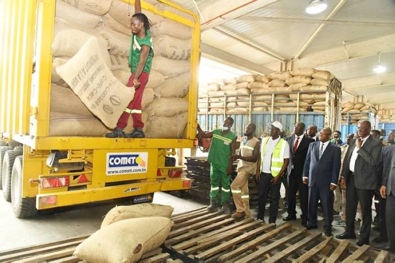 Le DG du Conseil du café-cacao lance le déchargement du stock résiduel de cacao à l'usine Transcao PK 24, le 29 janvier 2026.