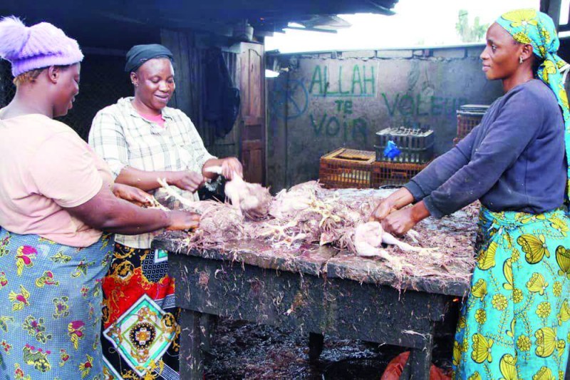 Les femmes se repartissent les charges, travail en équipe et se partagent le fruit de la vente des abats. (Ph: Joséphine Kouadio)