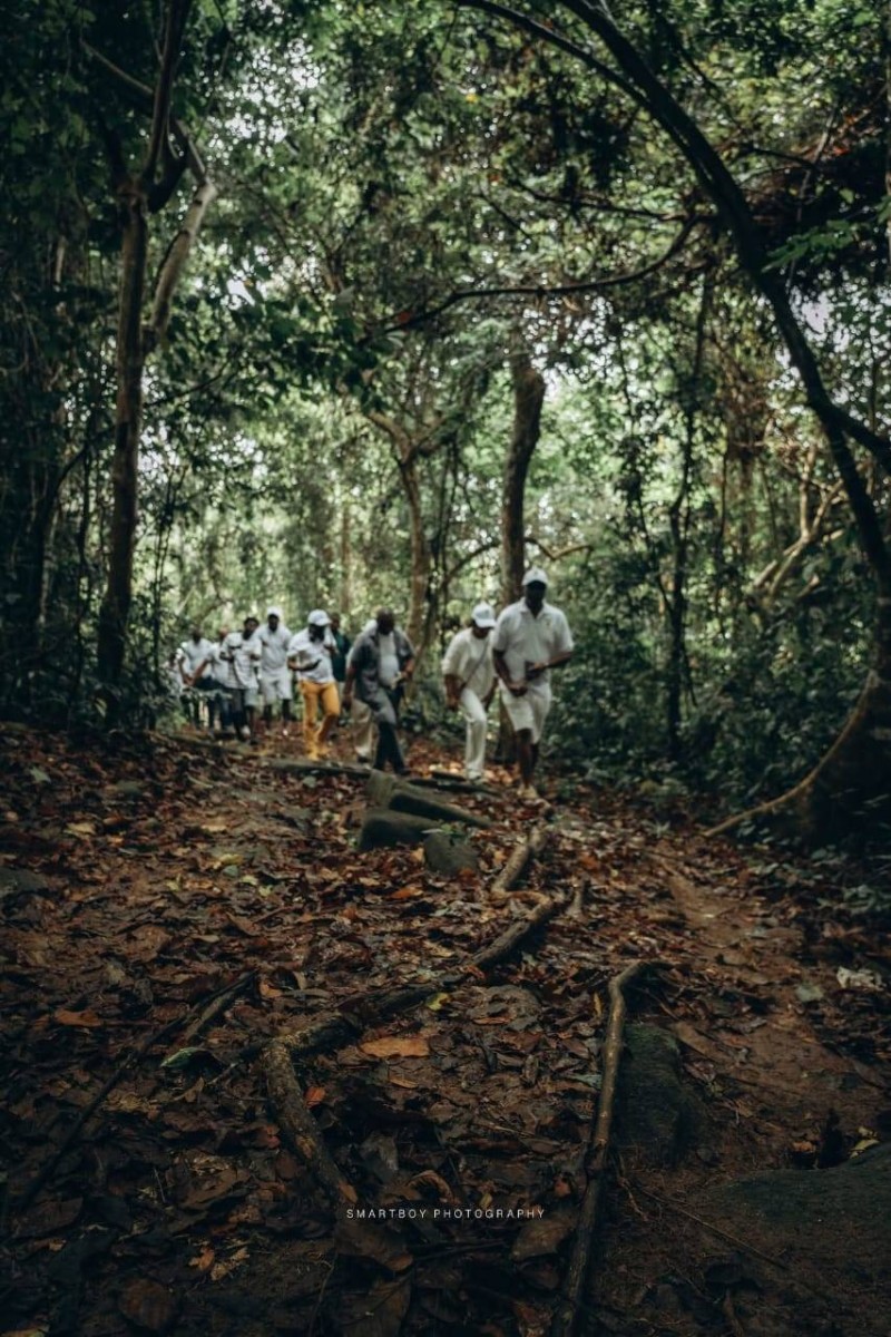 Traverser une forêt en pleine montagne pour une bénédiction (Dr)