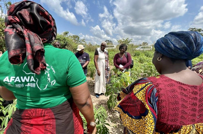 La directrice du département Genre, femmes et société civile du Groupe de la Banque, Jemimah Njuki (au centre), écoute des agricultrices qui ont suivi une formation qualifiante financée par le programme AFAWA (Affirmative Finance Action for Women in Africa) de l’institution panafricaine. (Ph:DR)