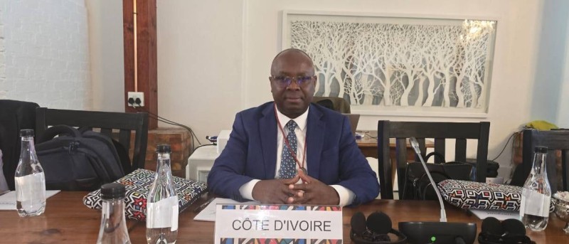Dr Fagama Klo, Directeur Général de l’Industrie Touristique et Hôtelière (DG-ITH),