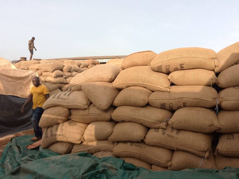 Des sacs de cacao stockés à Arrah. (Ph: Dr)